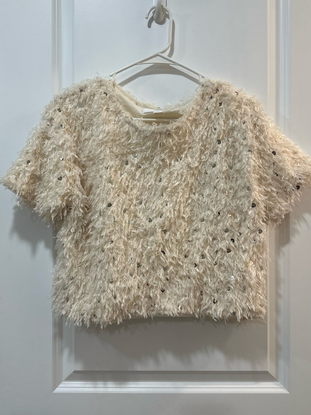 Zara Cream Fuzzy Sequin Short Sleeve Top